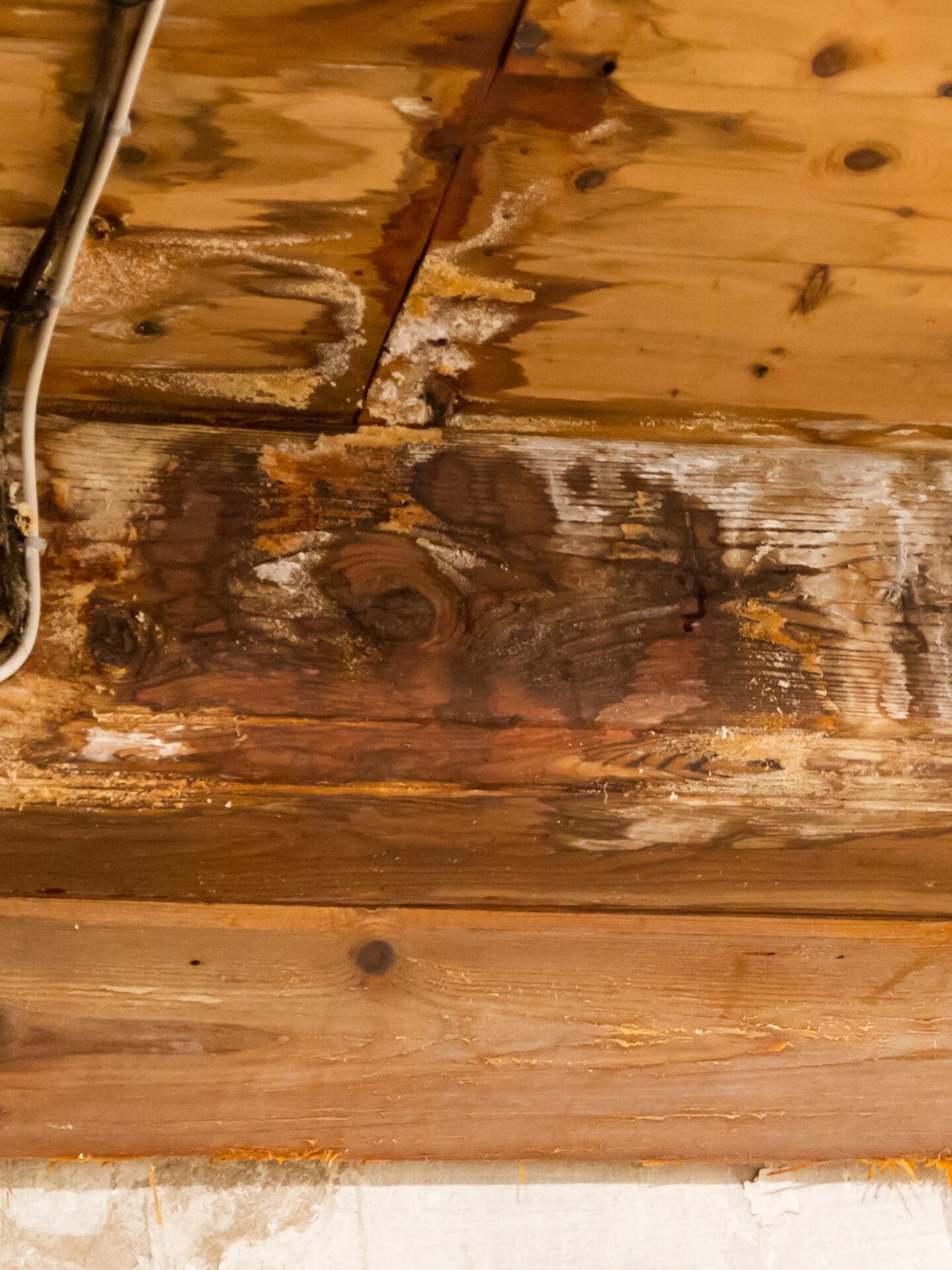 Water Damage Restoration